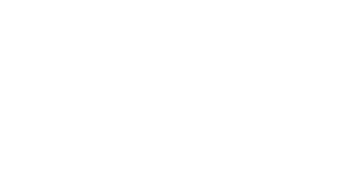 Slice